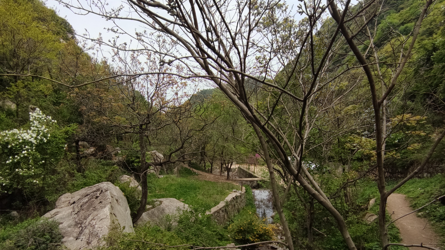 今日爬山份爬山